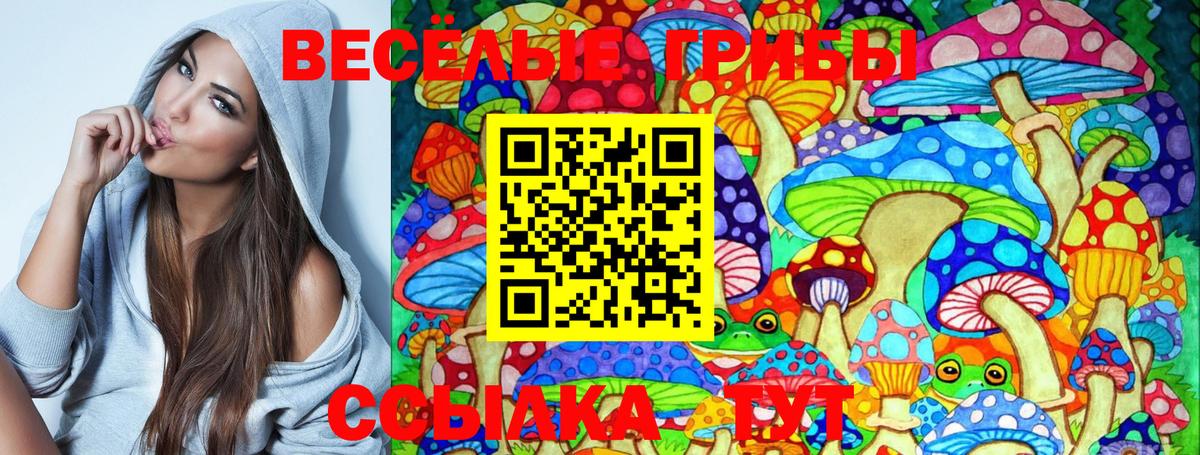 Галлюциногенные грибы Psilocybe  Вход с VPN  Грозный  Псилоцибиновые грибы Psilocybe 